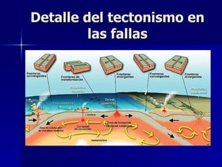 Detalle del tectonismo en las fallas 