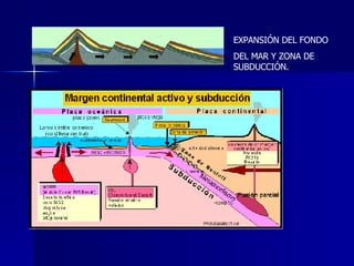 EXPANSIÓN DEL FONDO DEL MAR Y ZONA DE SUBDUCCIÓN. 