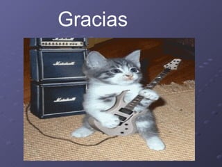 Gracias
 