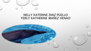 NELLY KATERINE DIAZ PUELLO
YERLY KATHERINE IBAÑEZ HENAO
 