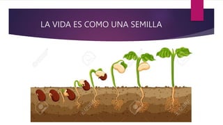 LA VIDA ES COMO UNA SEMILLA
 