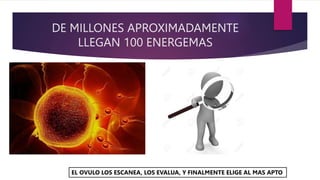 DE MILLONES APROXIMADAMENTE
LLEGAN 100 ENERGEMAS
EL OVULO LOS ESCANEA, LOS EVALUA, Y FINALMENTE ELIGE AL MAS APTO
 