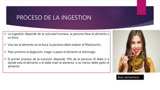 PROCESO DE LA INGESTION
 La ingestión depende de la voluntad humana, la persona lleva el alimento a
su boca.
 Una vez el alimento en la boca, la persona debe realizar la Masticación.
 Paso próximo la deglución, tragar o pasar el alimento al estomago.
 El primer proceso de la nutrición depende 10% de la persona. El debe ir a
donde esta el alimento o el debe traer el alimento, si es menor debe pedir el
alimento.
Bolo alimenticio
 