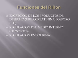 Funciones del RiñonEXCRECION DE LOS PRODUCTOS DE DESECHO (UREA,CREATININA,FOSFORO ETC)REGULACION DEL MEDIO INTERNO (Homeostasis)REGULACION ENDOCRINA