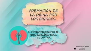 María Laura Piñero.
I. FILTRACIÓN GLOMERULAR
FLUJO SANGUÍNEO RENAL
Y SU CONTROL.
Laurpine.
 