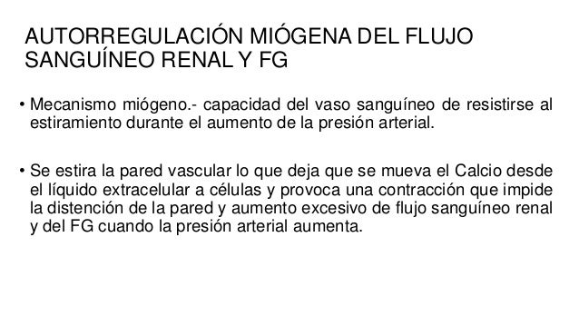 Resultado de imagen para Autorregulación miógena del flujo sanguÃneo renal y del FG