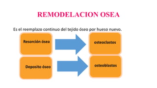 REMODELACION OSEA
Es el reemplazo continuo del tejido óseo por hueso nuevo.
Resorción ósea osteoclastos
osteoblastosDeposito óseo
 