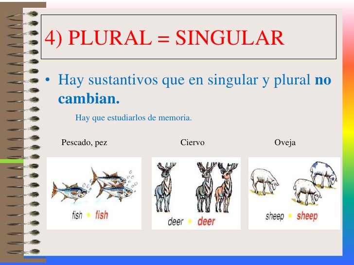 Formacion del plural simplificado