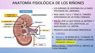 formaciondeorinafisiocompleto-181201233415.pptx