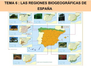 TEMA 6 : LAS REGIONES BIOGEOGRÁFICAS DE
               ESPAÑA
 