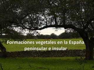 Formaciones vegetales en la España
       peninsular e insular
 