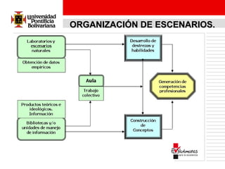ORGANIZACIÓN DE ESCENARIOS.

 