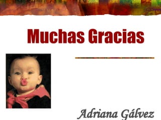 Muchas Gracias
Adriana Gálvez
 