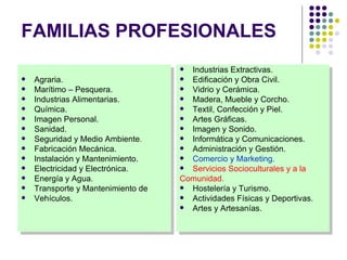 FAMILIAS PROFESIONALES Agraria. Marítimo – Pesquera. Industrias Alimentarias. Química. Imagen Personal. Sanidad. Seguridad y Medio Ambiente . Fabricación Mecánica. Instalación y Mantenimiento. Electricidad y Electrónica. Energía y Agua. Transporte y Mantenimiento de Vehículos. Industrias Extractivas. Edificación y Obra Civil. Vidrio y Cerámica. Madera, Mueble y Corcho. Textil, Confección y Piel. Artes Gráficas. Imagen y Sonido. Informática y Comunicaciones. Administración y Gestión. Comercio y Marketing. Servicios Socioculturales y a la Comunidad. Hostelería y Turismo. Actividades Físicas y Deportivas. Artes y Artesanías. 