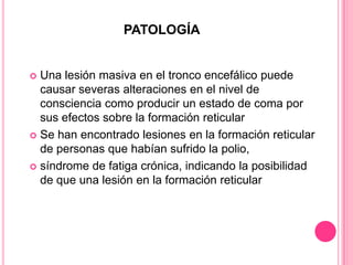 PATOLOGÍA


 Una lesión masiva en el tronco encefálico puede
  causar severas alteraciones en el nivel de
  consciencia como producir un estado de coma por
  sus efectos sobre la formación reticular
 Se han encontrado lesiones en la formación reticular
  de personas que habían sufrido la polio,
 síndrome de fatiga crónica, indicando la posibilidad
  de que una lesión en la formación reticular
 