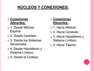 NÚCLEOS Y CONEXIONES:

 Conexiones               Conexiones
  Aferentes:                Eferentes:
 1. Desde Médula          1. Hacia Médula
  Espinal                  2. Hacia Cerebelo
 2. Desde Cerebelo        3. Hacia Hipotálamo y
 3. Desde los Sistemas     Sistema Límbico
  Sensoriales              4. Hacia Tálamo
 4. Desde Hipotálamo y
  Sistema Límbico
 5. Desde la Corteza
 