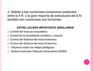 .
    2. Debido a las numerosas conexiones existentes
    entre la F.R. y la gran mayoría de estructuras del S.N.
    también son numerosas sus funciones.

              ENTRE LAS MÁS IMPORTANTE SEÑALAMOS:
       Control del músculo esquelético
       Control de la sensibilidad somática y visceral
       Control del Sistema Nervioso Autónomo
       Control del Sistema Nervioso Endocrino
       Influencia sobre los relojes biológicos
       Sistema Activador Reticular Ascendente (SARA)
 