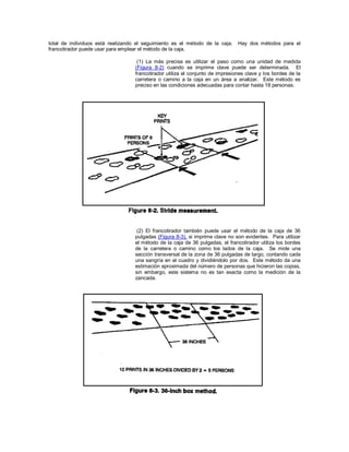 total de individuos está realizando el seguimiento es el método de la caja. Hay dos métodos para el
francotirador puede usar para emplear el método de la caja.
(1) La más precisa es utilizar el paso como una unidad de medida
(Figura 8-2) cuando se imprime clave puede ser determinada. El
francotirador utiliza el conjunto de impresiones clave y los bordes de la
carretera o camino a la caja en un área a analizar. Este método es
preciso en las condiciones adecuadas para contar hasta 18 personas.
(2) El francotirador también puede usar el método de la caja de 36
pulgadas (Figura 8-3), si imprime clave no son evidentes. Para utilizar
el método de la caja de 36 pulgadas, el francotirador utiliza los bordes
de la carretera o camino como los lados de la caja. Se mide una
sección transversal de la zona de 36 pulgadas de largo, contando cada
una sangría en el cuadro y dividiéndolo por dos. Este método da una
estimación aproximada del número de personas que hicieron las copias,
sin embargo, este sistema no es tan exacta como la medición de la
zancada.
 