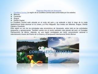 Regiones Naturales de Venezuela;
• Cordillera Central; La región de la Cordillera Central está conformada por los estados:
 Miranda.
 Carabobo
 Aragua.
 Distrito Capital.
La Cordillera Central está ubicada en el norte del país y se extiende a todo lo largo de la costa
septentrional hasta alcanzar el río Unare y el Pico Naiguatá. Sus límites son Miranda, Aragua, Distrito
Capital y Carabobo.
Esta región es uno de los principales ejes económicos de Venezuela, sobre todo en las actividades
pesqueras y agropecuarias. También cuenta con el centro petrolero más grande del país: el Complejo
Petroquímico de Morón. Además, es una región privilegiada por tener comunicación nacional e
internacional a través del Puerto de La Guaira y el Aeropuerto Internacional Simón Bolívar.
 