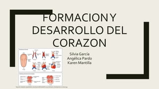 FORMACIONY
DESARROLLO DEL
CORAZON
Silvia García
Angélica Pardo
Karen Mantilla
https://en.wikipedia.org/wiki/Heart_development#/media/File:2037_Embryonic_Development_of_Heart.jpg
 
