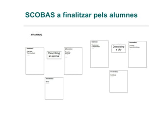 SCOBAS a finalitzar pels alumnes 