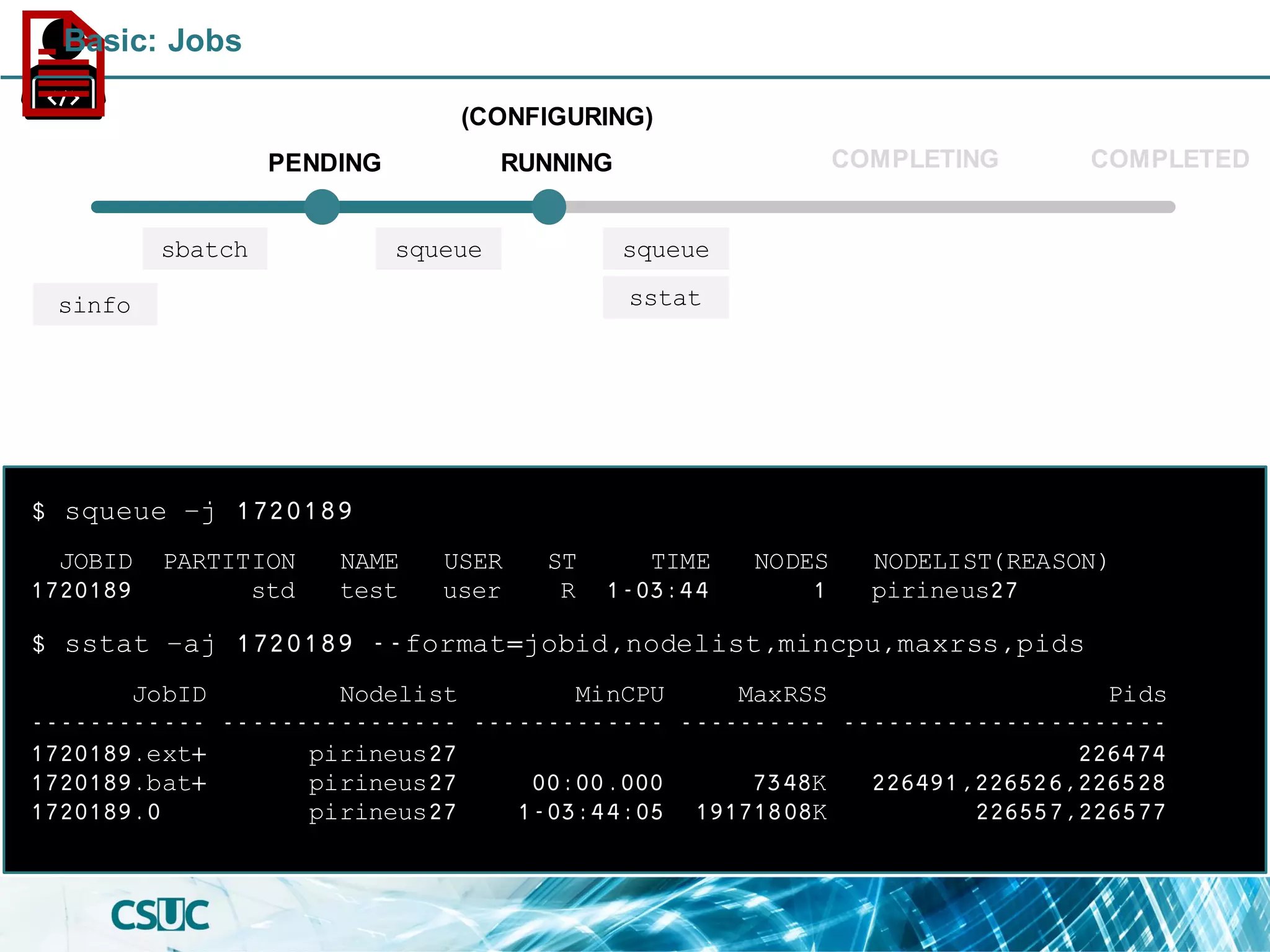 JOBID PARTITION NAME USER ST TIME NODES NODELIST(REASON)
1720189 std test user R 1-03:44 1 pirineus27
$ squeue –j 1720189
PENDING
(CONFIGURING)
RUNNING COMPLETED
sbatch
sinfo
COMPLETING
$ sstat –aj 1720189 --format=jobid,nodelist,mincpu,maxrss,pids
JobID Nodelist MinCPU MaxRSS Pids
------------ ---------------- ------------- ---------- ----------------------
1720189.ext+ pirineus27 226474
1720189.bat+ pirineus27 00:00.000 7348K 226491,226526,226528
1720189.0 pirineus27 1-03:44:05 19171808K 226557,226577
squeue
sstat
squeue
Basic: Jobs
 