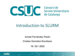 Introduction to SLURM
Ismael Fernández Pavón
Cristian Gomollon Escribano
19 / 02 / 2020
 