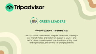 Your eco-friendly stay starts here.


The Tripadvisor GreenLeaders Program showcases a variety of
eco-friendly hotels and B&Bs, from budget to luxury – and
they’re all committed to green practices like recycling, local
and organic food, and electric car charging stations.
 