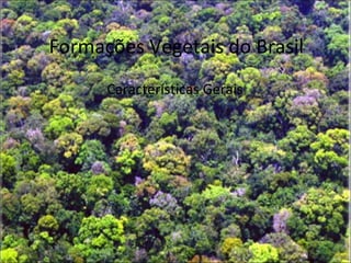 Formações Vegetais do Brasil
Características Gerais
 