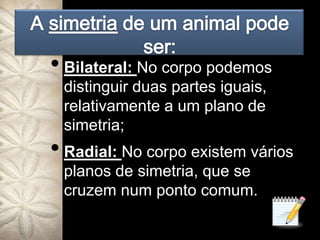 A simetria de um animal pode ser:Bilateral: No corpo podemos distinguir duas partes iguais, relativamente a um plano de simetria;Radial: No corpo existem vários planos de simetria, que se cruzem num ponto comum.
