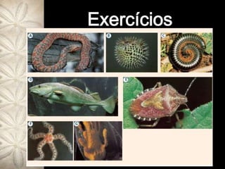 Exercícios