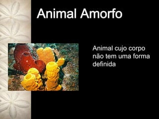 Animal AmorfoAnimal cujo corpo não tem uma forma definida