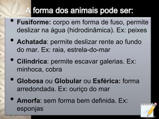 A forma dos animais pode ser:Fusiforme: corpo em forma de fuso, permite deslizar na água (hidrodinâmica). Ex: peixesAchatada: permite deslizar rente ao fundo do mar. Ex: raia, estrela-do-marCilíndrica: permite escavar galerias. Ex: minhoca, cobraGlobosaou Globular ou Esférica: forma arredondada. Ex: ouriço do marAmorfa: sem forma bem definida. Ex: esponjas