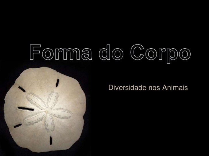 Forma do Corpo<br />Diversidade nos Animais<br />