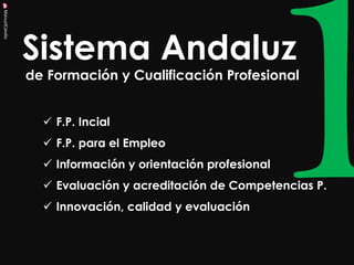 de Formación y Cualificación Profesional 
ManuelCalvillo 
Sistema Andaluz 
F.P. Incial 
F.P. para el Empleo 
Información y orientación profesional 
Evaluación y acreditación de Competencias P. 
Innovación, calidad y evaluación  