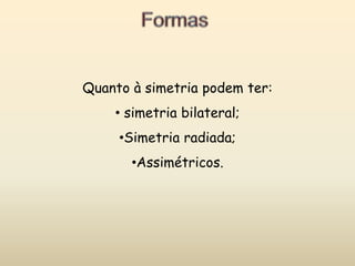 FormasQuanto à simetria podem ter:simetria bilateral;