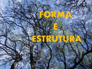 FORMA
E
ESTRUTURA
 