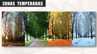 ZONAS TEMPERADAS
 