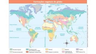 Formações vegetais - distribuição pelo planeta e principais ...