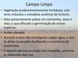Campo Limpo
• Vegetação predominantemente herbácea, com
  raros arbustos e completa ausência de árvores.
• Solo extremamente pobre em nutrientes, duro e
  raso, o que dificulta a germinação de outras
  espécies.
• Acidez elevada
• Durante a seca não conseguem captar água, o que
  ás deixa ressecadas facilitando a ocorrência de
  queimadas.
• É encontrada nas encostas das chapadas, próxima
  as nascentes dos rios.
 