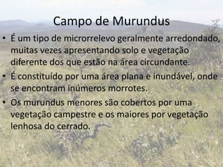 Campo de Murundus
• É um tipo de microrrelevo geralmente arredondado,
  muitas vezes apresentando solo e vegetação
  diferente dos que estão na área circundante.
• É constituído por uma área plana e inundável, onde
  se encontram inúmeros morrotes.
• Os murundus menores são cobertos por uma
  vegetação campestre e os maiores por vegetação
  lenhosa do cerrado.
 