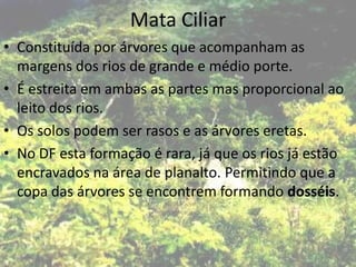Mata Ciliar
• Constituída por árvores que acompanham as
  margens dos rios de grande e médio porte.
• É estreita em ambas as partes mas proporcional ao
  leito dos rios.
• Os solos podem ser rasos e as árvores eretas.
• No DF esta formação é rara, já que os rios já estão
  encravados na área de planalto. Permitindo que a
  copa das árvores se encontrem formando dosséis.
 