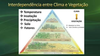  Temperatura
 Insolação
 Precipitação
 Solo
 Fatores
CLIMA
VEGETAÇÃO
 Adaptável ao clima;
 Fator Climático (umidade)
 