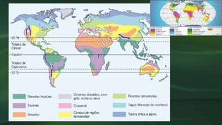 Formações vegetais I - Nomenclaturas