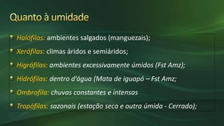 Halófilas: ambientes salgados (manguezais);
Xerófilas: climas áridos e semiáridos;
Higrófilas: ambientes excessivamente úmidos (Fst Amz);
Hidrófilas: dentro d’água (Mata de iguapó – Fst Amz;
Ombrofila: chuvas constantes e intensas
Tropófilas: sazonais (estação seca e outra úmida - Cerrado);
 