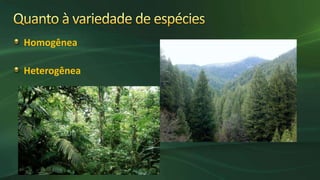 Homogênea
Heterogênea
 