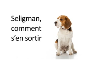 Seligman,
comment
s’en sortir
 