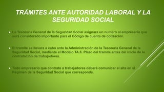 TRÁMITES ANTE AUTORIDAD LABORAL Y LA
SEGURIDAD SOCIAL
 La Tesorería General de la Seguridad Social asignara un numero al empresario que
será considerado importante para el Código de cuenta de cotización.
 El tramite se llevara a cabo ante la Administración de la Tesorería General de la
Seguridad Social, mediante el Modelo TA.6. Plazo del tramite antes del inicio de la
contratación de trabajadores.
 Todo empresario que contrate a trabajadores deberá comunicar el alta en el
Régimen de la Seguridad Social que corresponda.
 