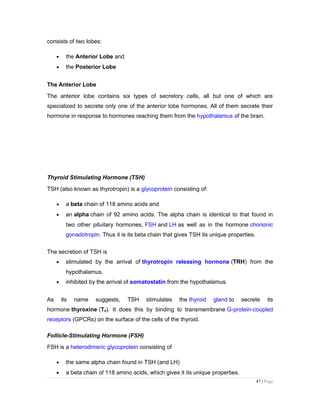 consists of two lobes:
• the Anterior Lobe and
• the Posterior Lobe
The Anterior Lobe
The anterior lobe contains six types of secretory cells, all but one of which are
specialized to secrete only one of the anterior lobe hormones. All of them secrete their
hormone in response to hormones reaching them from the hypothalamus of the brain.
Thyroid Stimulating Hormone (TSH)
TSH (also known as thyrotropin) is a glycoprotein consisting of:
• a beta chain of 118 amino acids and
• an alpha chain of 92 amino acids. The alpha chain is identical to that found in
two other pituitary hormones, FSH and LH as well as in the hormone chorionic
gonadotropin. Thus it is its beta chain that gives TSH its unique properties.
The secretion of TSH is
• stimulated by the arrival of thyrotropin releasing hormone (TRH) from the
hypothalamus.
• inhibited by the arrival of somatostatin from the hypothalamus.
As its name suggests, TSH stimulates the thyroid gland to secrete its
hormone thyroxine (T4). It does this by binding to transmembrane G-protein-coupled
receptors (GPCRs) on the surface of the cells of the thyroid.
Follicle-Stimulating Hormone (FSH)
FSH is a heterodimeric glycoprotein consisting of
• the same alpha chain found in TSH (and LH)
• a beta chain of 118 amino acids, which gives it its unique properties.
47 | Page
 