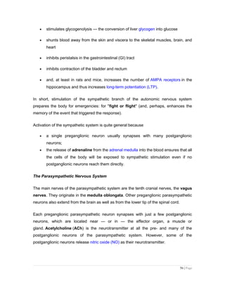 • stimulates glycogenolysis — the conversion of liver glycogen into glucose
• shunts blood away from the skin and viscera to the skeletal muscles, brain, and
heart
• inhibits peristalsis in the gastrointestinal (GI) tract
• inhibits contraction of the bladder and rectum
• and, at least in rats and mice, increases the number of AMPA receptors in the
hippocampus and thus increases long-term potentiation (LTP).
In short, stimulation of the sympathetic branch of the autonomic nervous system
prepares the body for emergencies: for "fight or flight" (and, perhaps, enhances the
memory of the event that triggered the response).
Activation of the sympathetic system is quite general because
• a single preganglionic neuron usually synapses with many postganglionic
neurons;
• the release of adrenaline from the adrenal medulla into the blood ensures that all
the cells of the body will be exposed to sympathetic stimulation even if no
postganglionic neurons reach them directly.
The Parasympathetic Nervous System
The main nerves of the parasympathetic system are the tenth cranial nerves, the vagus
nerves. They originate in the medulla oblongata. Other preganglionic parasympathetic
neurons also extend from the brain as well as from the lower tip of the spinal cord.
Each preganglionic parasympathetic neuron synapses with just a few postganglionic
neurons, which are located near — or in — the effector organ, a muscle or
gland. Acetylcholine (ACh) is the neurotransmitter at all the pre- and many of the
postganglionic neurons of the parasympathetic system. However, some of the
postganglionic neurons release nitric oxide (NO) as their neurotransmitter.
56 | Page
 